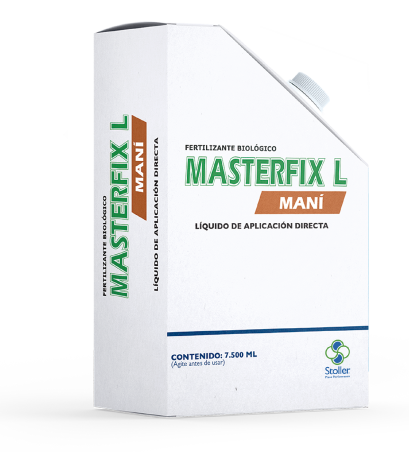 Masterfix L Mani