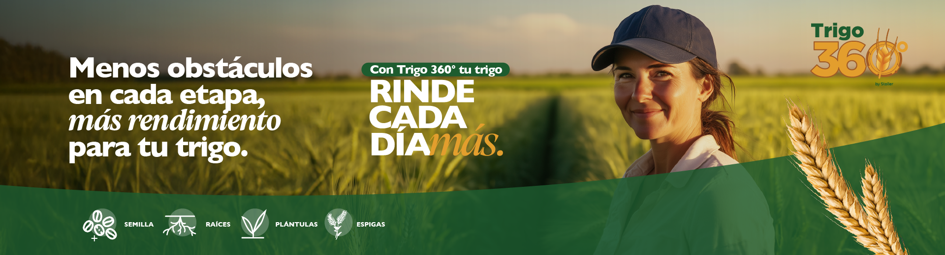 Na foto, há uma mulher sorridente com boné e camisa clara, em um campo de trigo sob um céu. À esquerda, texto em espanhol sobre rendimento e Trigo 360°. No canto superior direito, o logotipo Trigo 360°. Na parte inferior, ícones das fases da cultura: Semente, Raízes, Plântulas e Espigas.