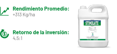 estabilidad-stimulate