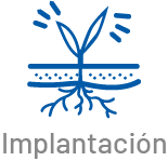 implantacion